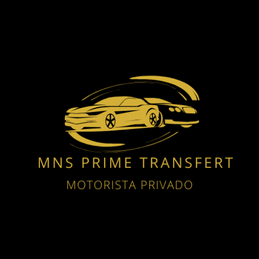 logo mns prime transfert